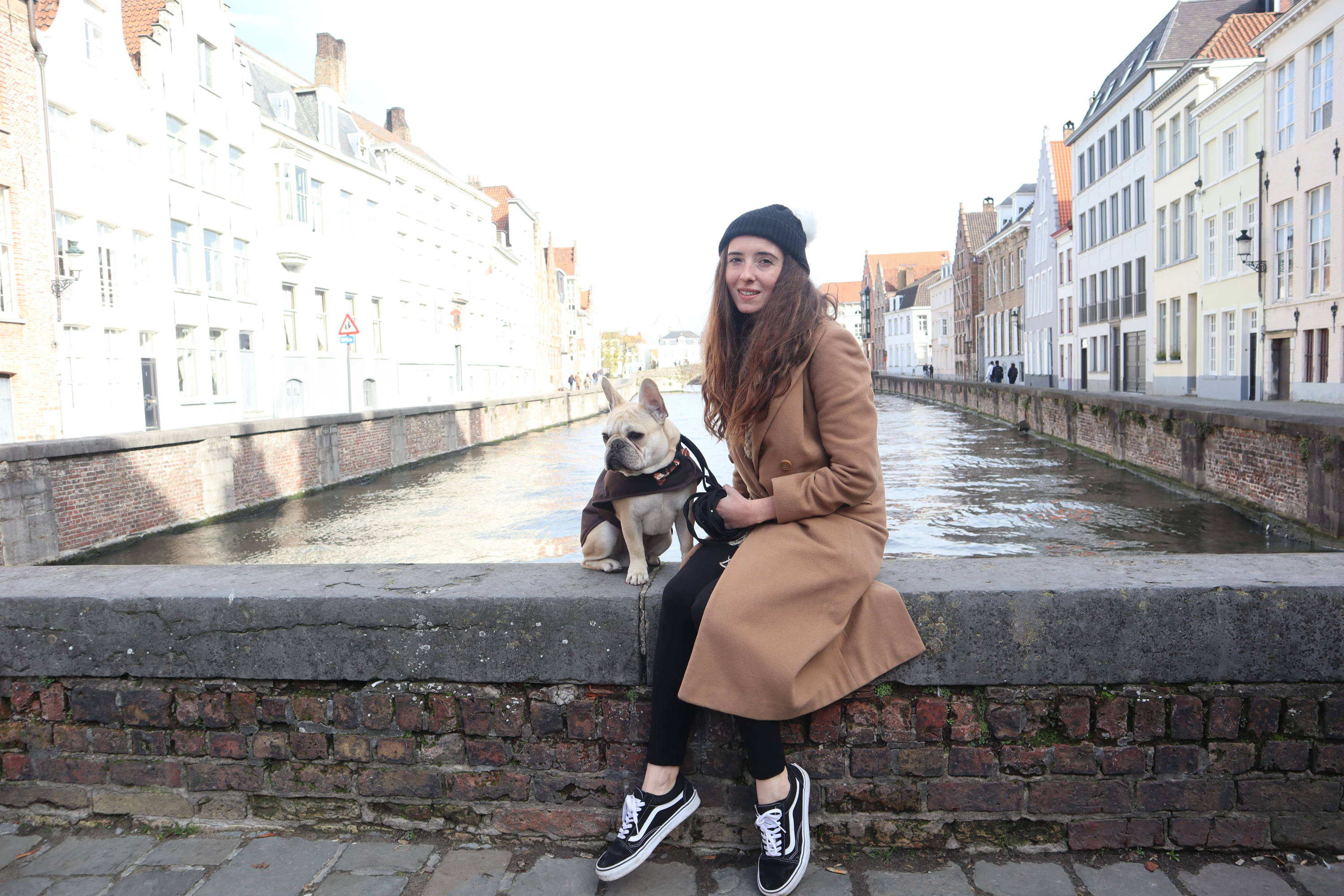 Human with Frenchie | Travelling with pets