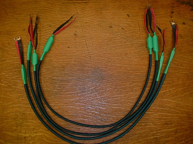 Ridge Street Poiema 4-ft. long Bi-wires. Try these with...