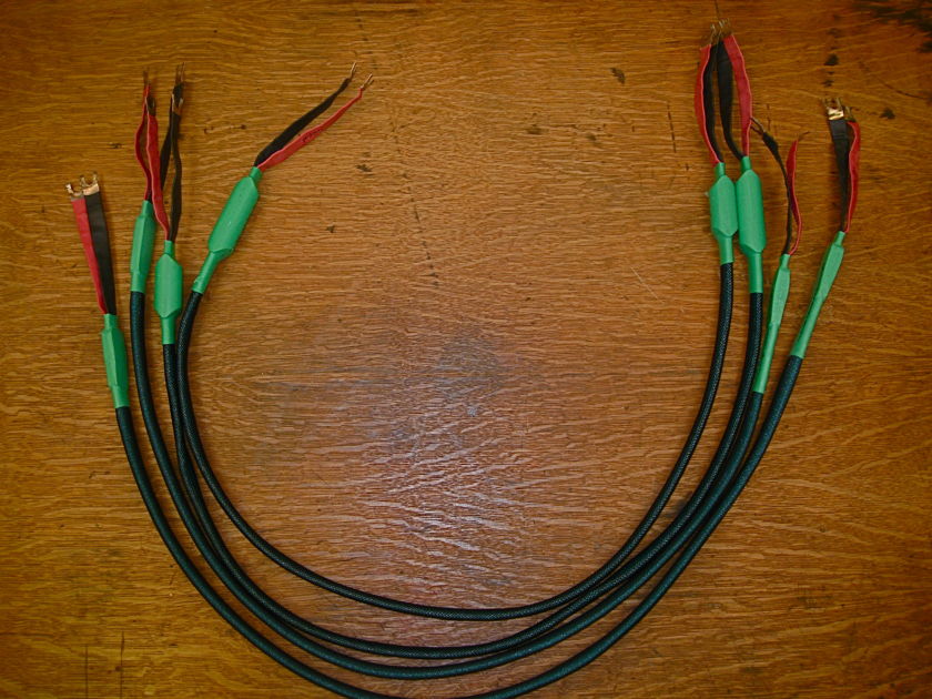Ridge Street Poiema 4-ft. long Bi-wires. Try these with your monoblocks. Stunning