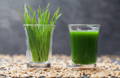 two shot glasses, one with fresh wheat grass blades and the other with green wheat grass juice