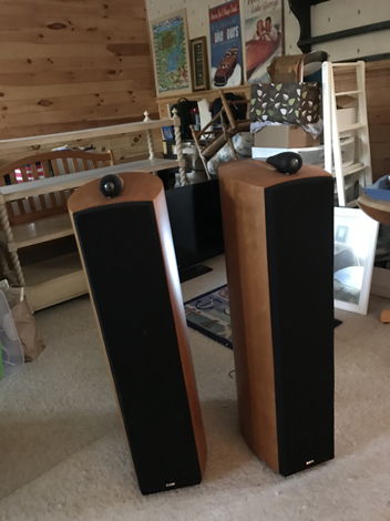 Bowers and Wilkins Nautilus 803