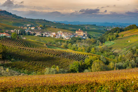 Barolo Wine Tasting, Alba Tour & Castle Visit