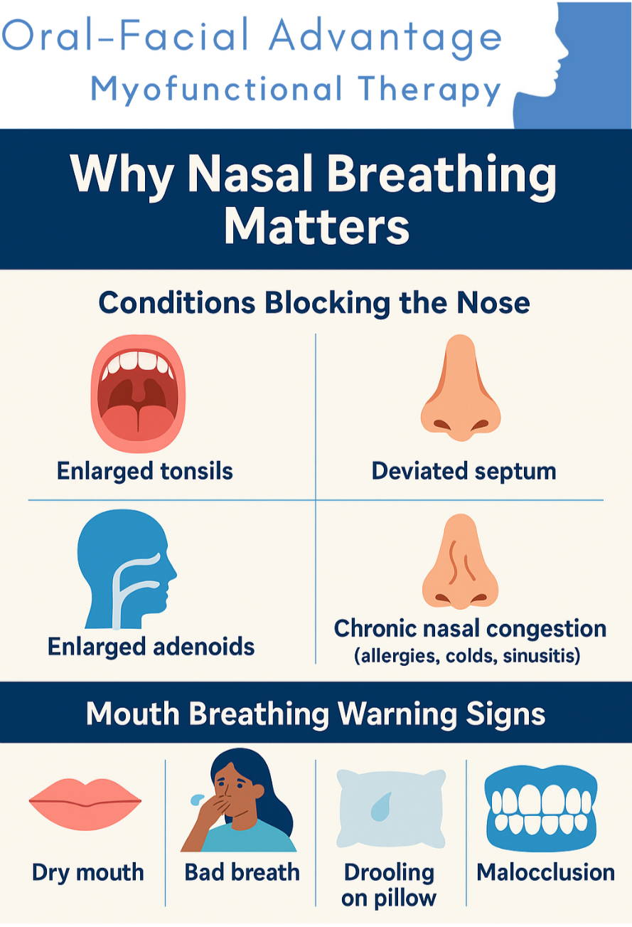 Infographic explaining what nasal breathing matters and how Myofunctional Therapy helps 