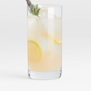 Aspen 18-Oz. High Ball Glasses, | Crate & Barrel