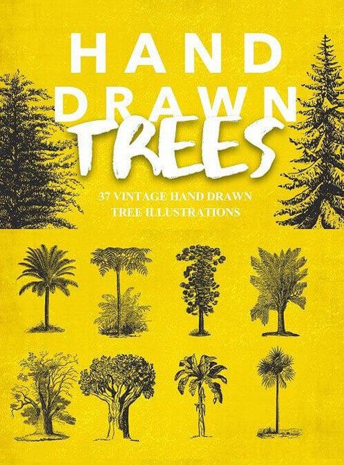 37 Vintage Tree Illustrations - иллюстрации деревьев в векторе