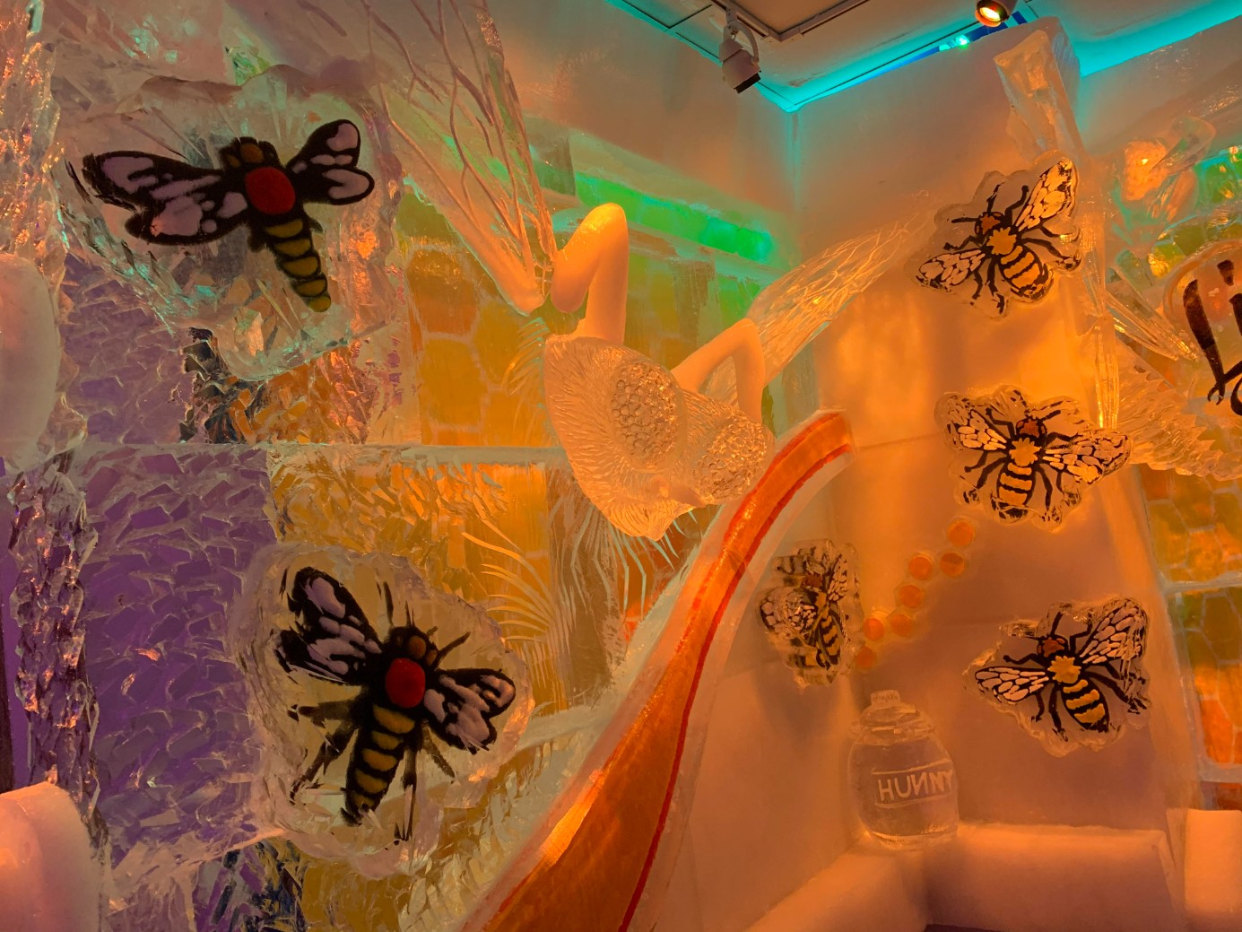 minus5 Ice Experience Uploaded on 2021-12-14