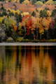 Fall landscape with oranges, reds, yellows and green.