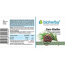 See - Kiefer, Pinus pinaster, Tropfen, Tinktur 50 ml