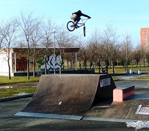 Box jump hot sale bmx