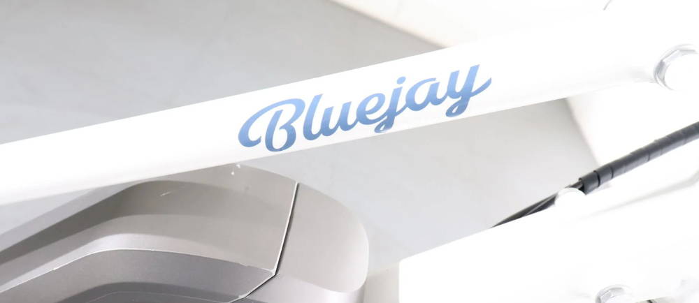 Bluejay Premiere electric bike frame