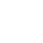 MP-Network