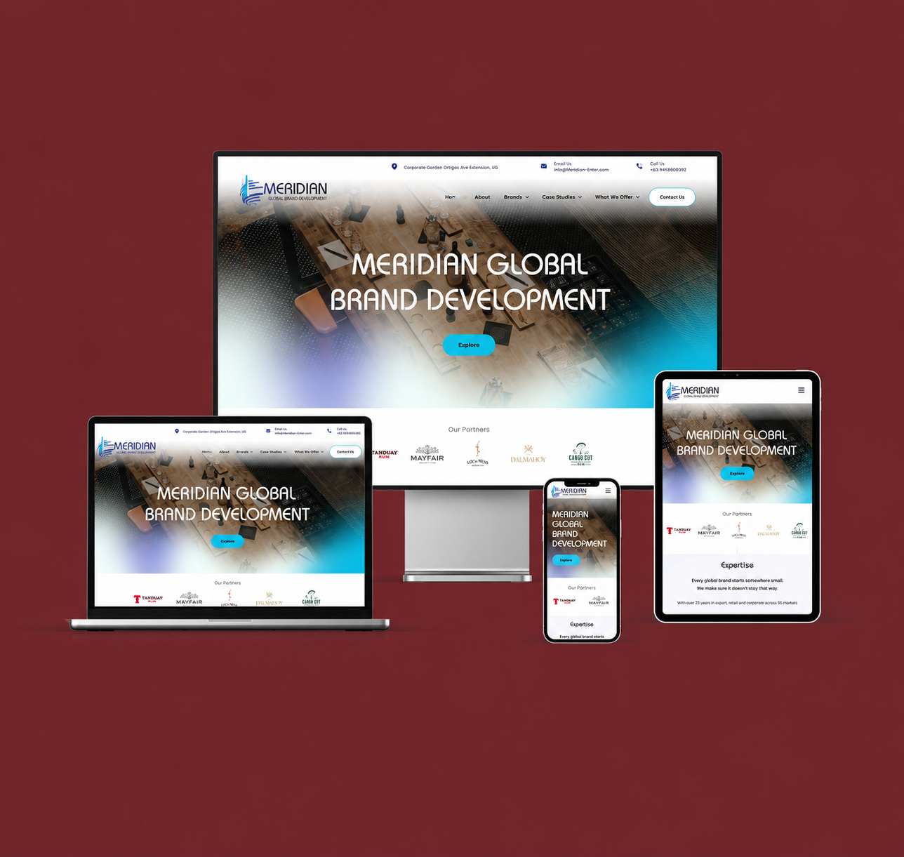 Pingdom developers developer - Leandro M.'s portfolio image