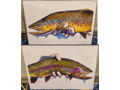 Brown Trout and Rainbow Trout Prints by Ty Hallock of Ty Outdoors