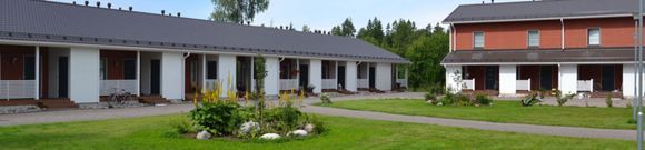 profile-1