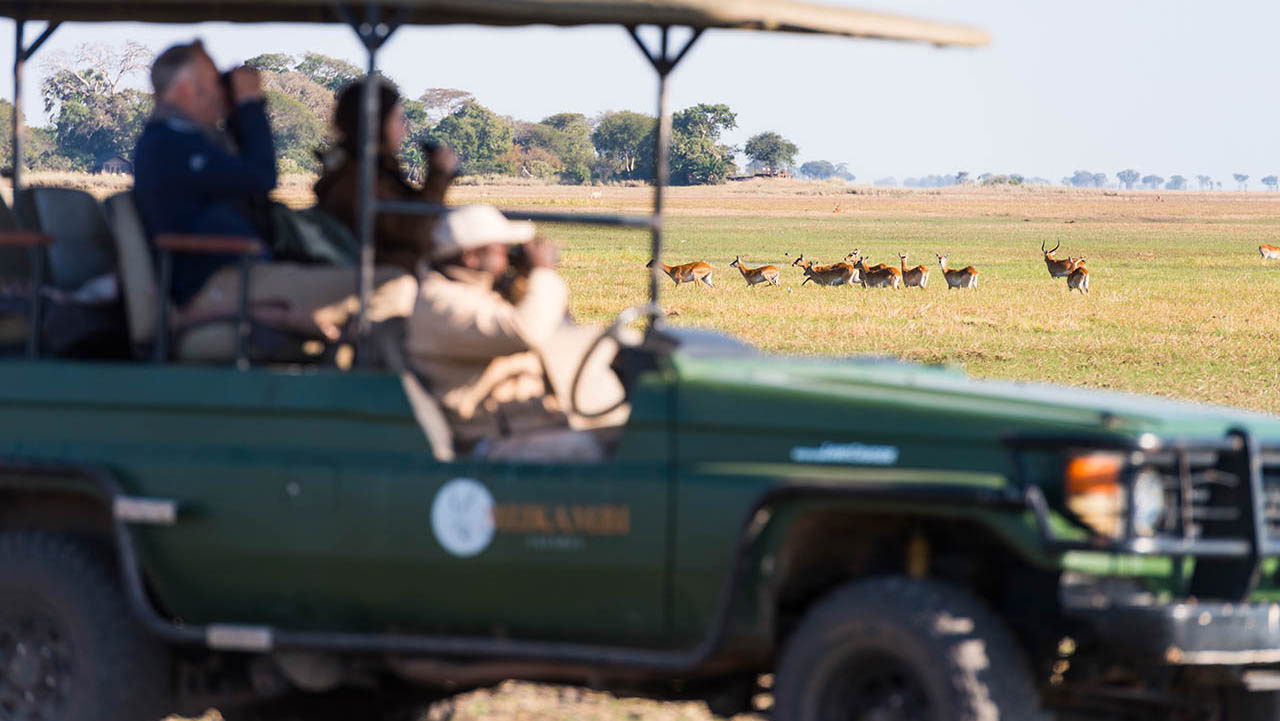 8 Day Full Kafue National Park Safari Experience, Zambia