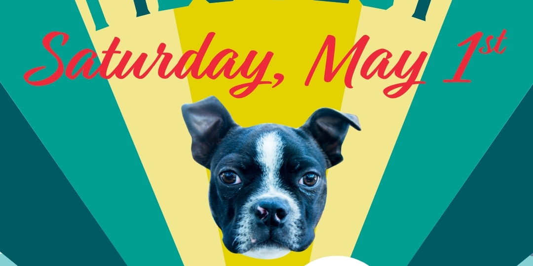 Fido Fest | Calling All Dogs {and their Humans!} promotional image