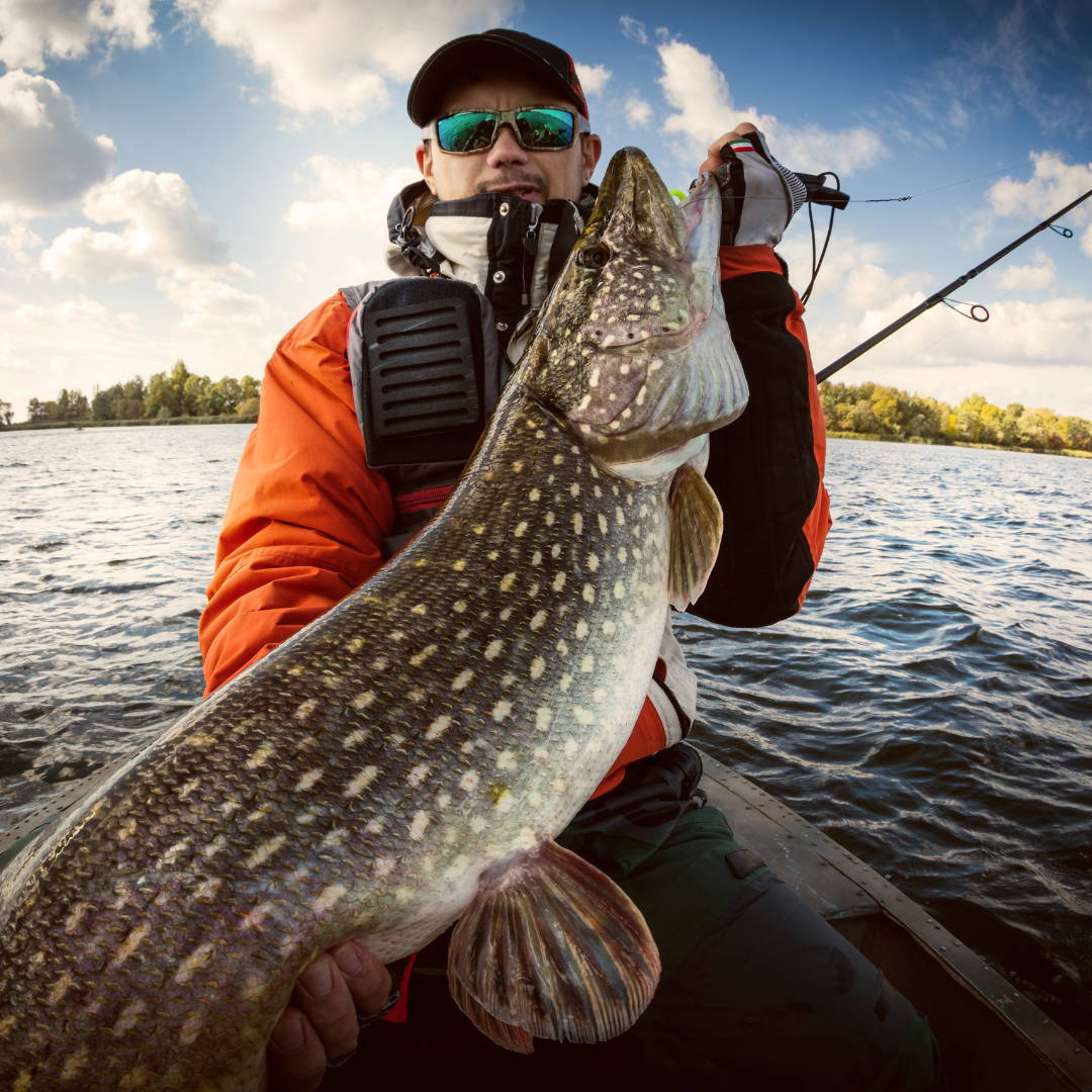From panfish to salmon.