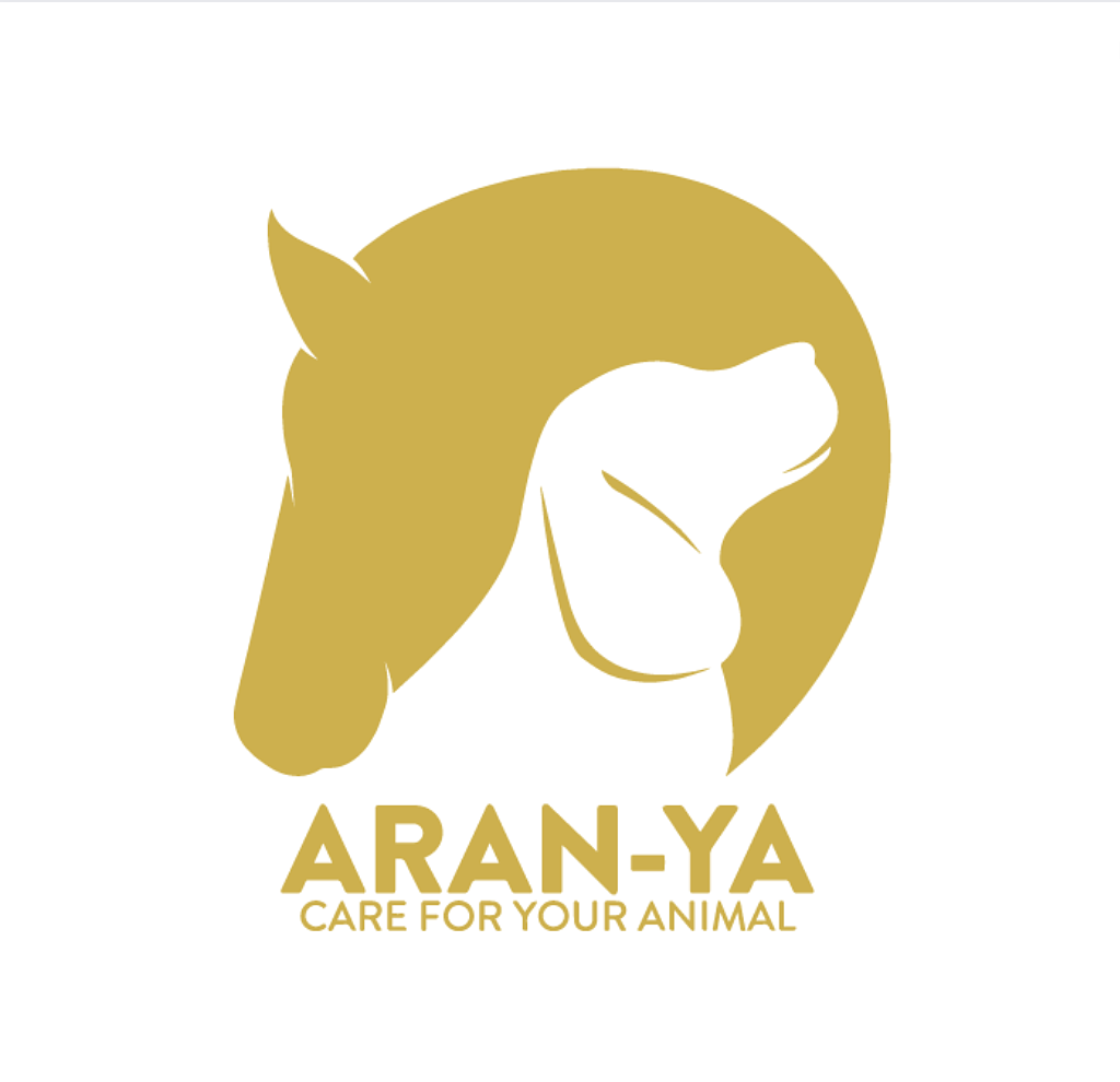 Logo ARAN-YA