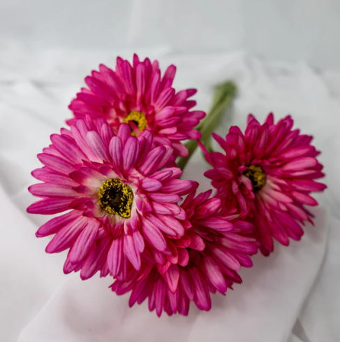 Fuchsia Real Touch Gerbera - Realistic Artificial Flowers - Image 3