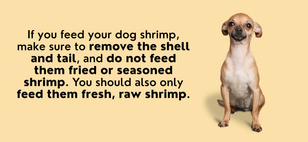 tips to feed shrimps to dogs.png