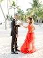 Photographers Guide to Wedding Presets Gallery: Beach Shot