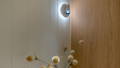Lesen Designer Wall Light Havit designer wall light mounted between VJ panelling and timber wall panel in residential bedroom, Manly QLD