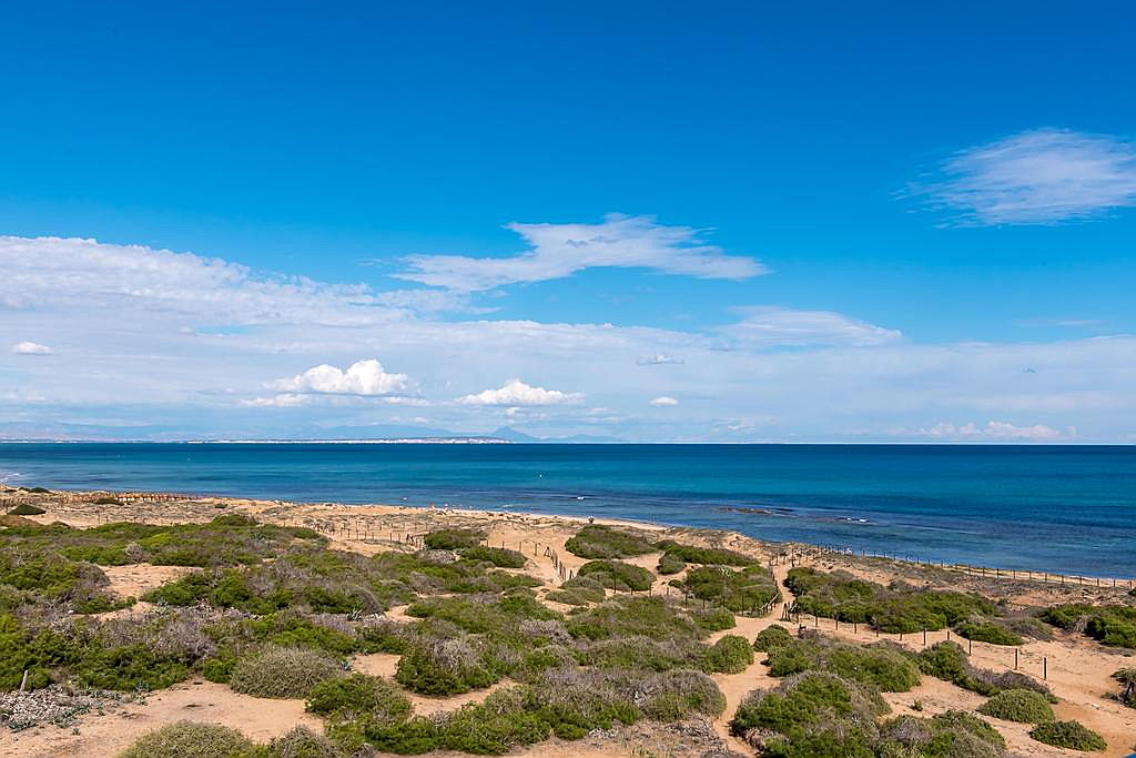  Torrevieja
- la mata beach sand dunes.jpg