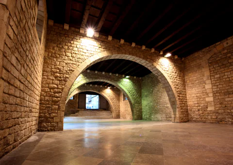 Picasso Museum Guided Tour with Skip the Line Ticket