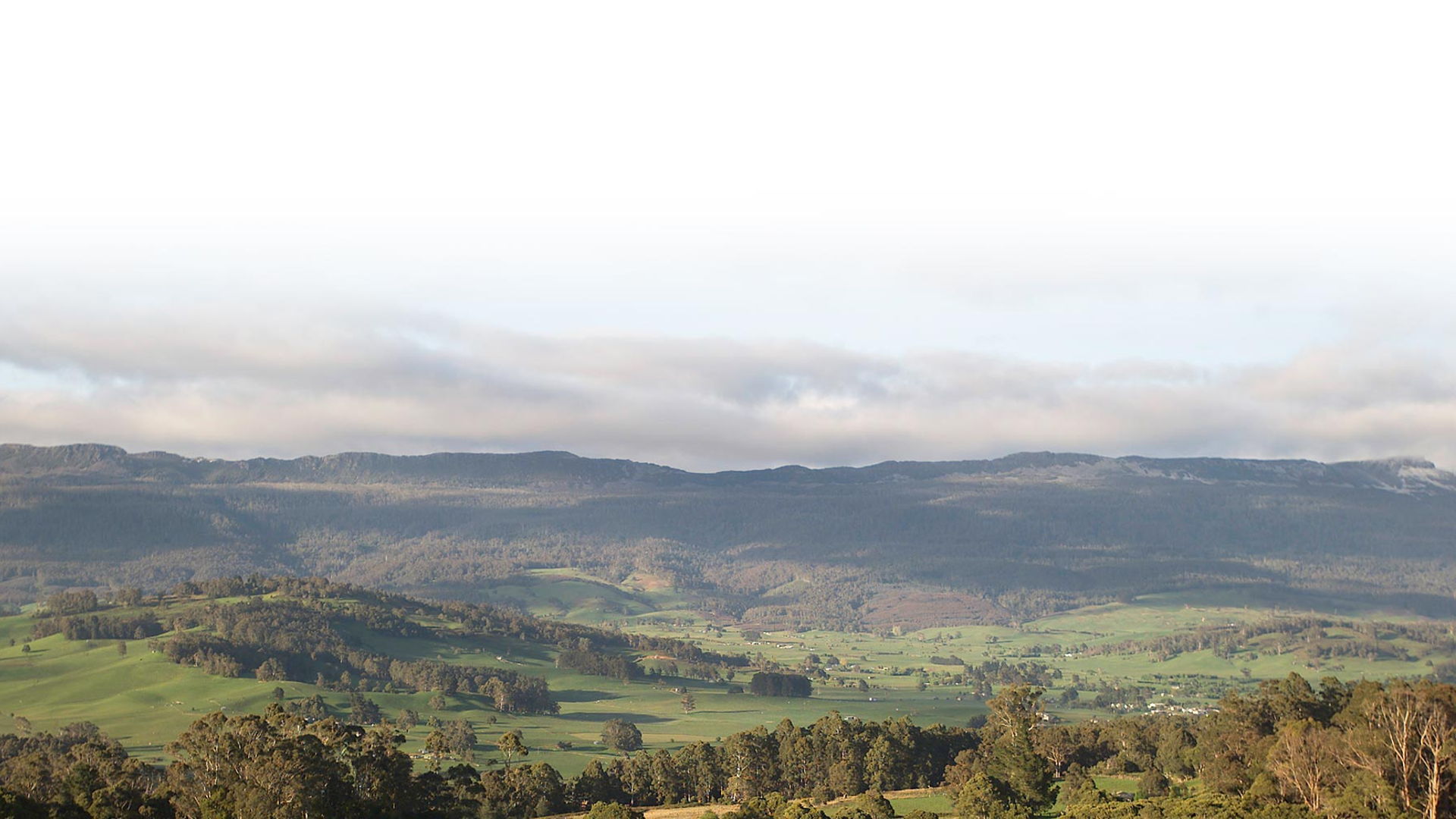 Meander Valley Council hero image