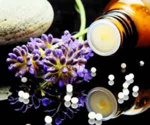 The Naturopathic Doctor
