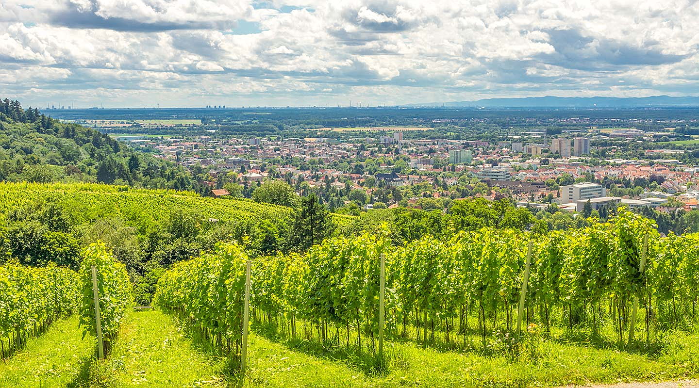  Bensheim
- In Ihrer neuen Immobilie in Alsbach-Hähnlein von den Immobilienmaklern Engel & Völkers Hessische Bergstraße werden Sie sich von Anfang an wohlfühlen. Ob Haus, Villa, Wohnung oder Apartment.