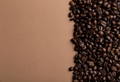 コーヒー豆特徴