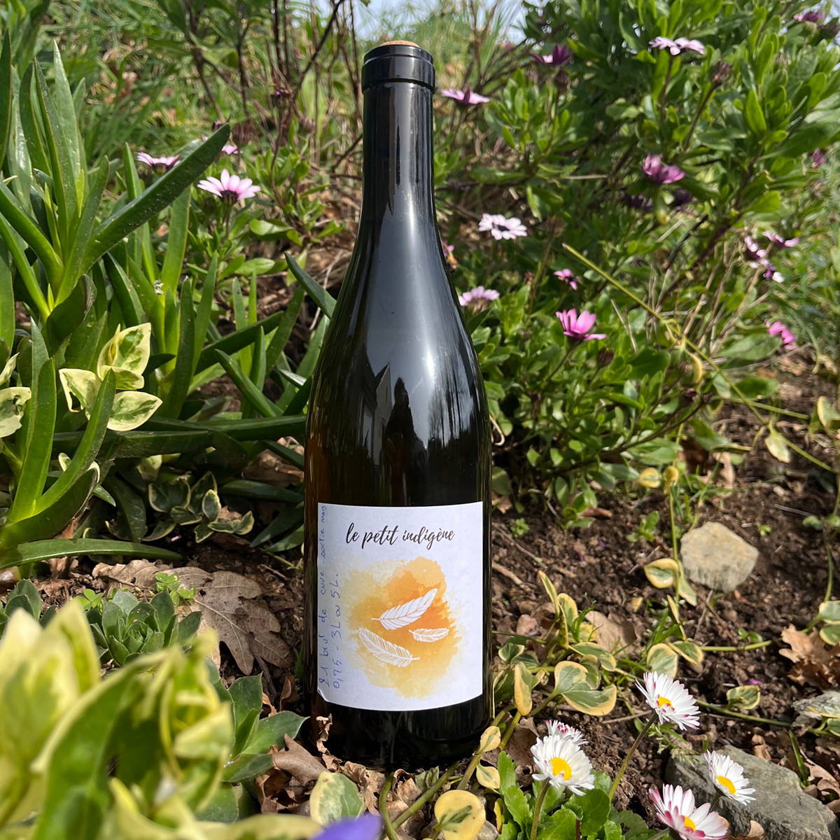 vin, rhône, les entrefaux, anne et françois tardy, domaine du minot, axel chambert, rhône sud, gard, nîmes , France, vin nature, rawwine, organic wine, vin bio, vin sans intrants, vin sans souffre, vin sans sulfites ajoutés, vin rouge, vin blanc, rouge, blanc, vin propre, vigneron, domaine bio, biodynamie, vigneron nature, vin biodynamique, raizin brut, Quimper, Finistère, Morbihan , raizin brut