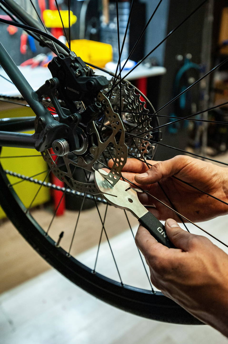 mountain bike elettrica