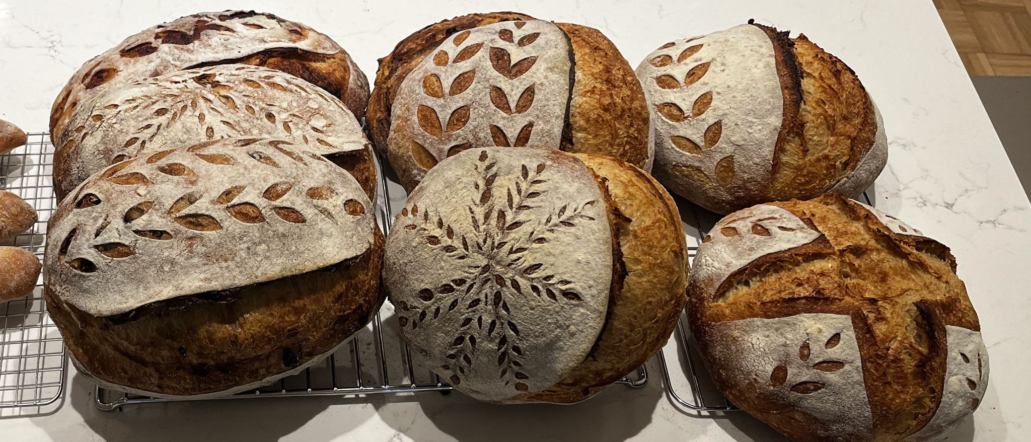 Sourdough by Shannon — photo from hotplate.com