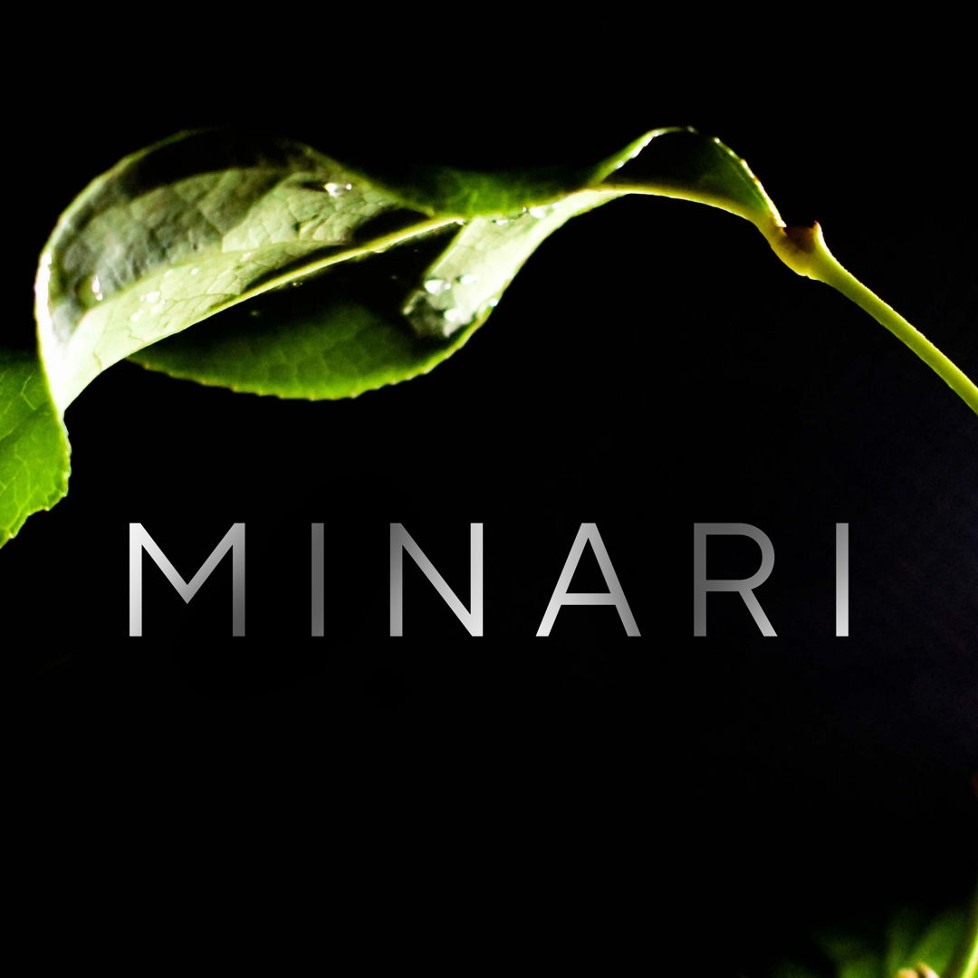 Image of Minari