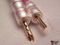 Virtue audio nirvana speaker cables Mint condition must... 2