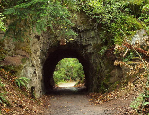 Tunnel at the Sehome Hill Arboretum