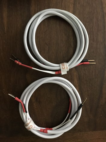 The Chord Company Odyssey 2 Speaker Cable - 2 meter Pair