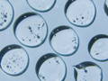 close up image of texture of skin care products