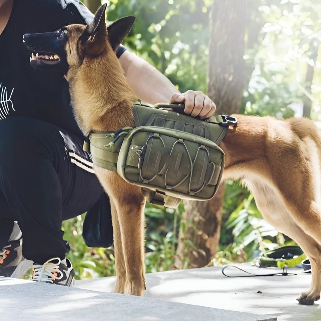 Durable Dog Saddle Bag Harness for Outdoor Adventures