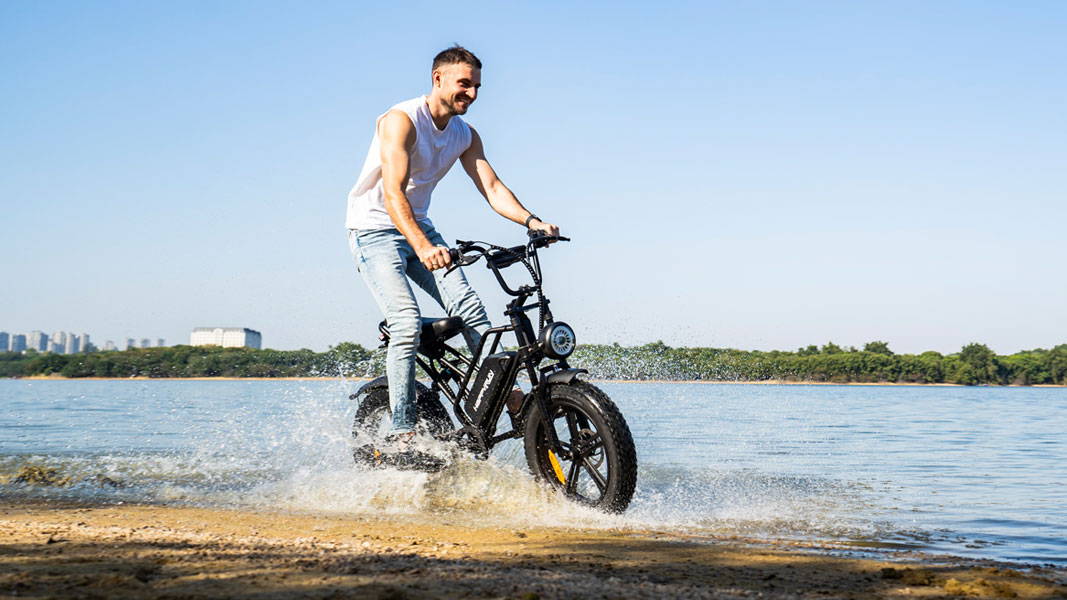 HappyRun Mountain Electric Bike Tank G50