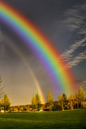 Rainbow, Cloud, Sky, Plant, Atmosphere, Daytime, Ecoregion, Light, Green, Natural landscape