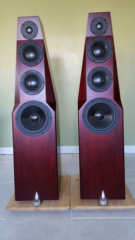 Totem Acoustics Wind in Rosewood (Pristine Condition)