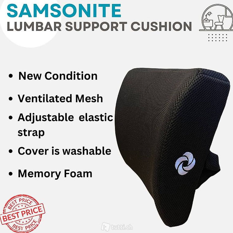 Back Support Cushion from SAMSONITE