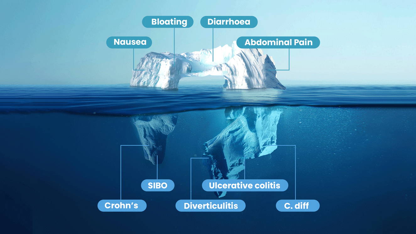 Digestive-symptoms-and-disorders digestive symptoms and disorders