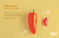 Vibrant Red Pepper Duo Illustrating Circular Economy - Many Intend to Recycle Food Packaging, Yet Lack Proper Procedures: Stats Reveal 76% Clean Containers, 33% Confident in Recycling Practices