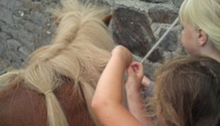 die reitzwerge kinder pflechten zopf