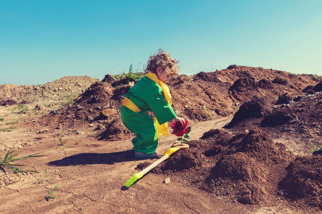 Un enfant habillé comme le Petit Prince s'accroupit dans un paysage désertique, touchant doucement une rose rouge plantée dans le sable près d'une épée en jouet.