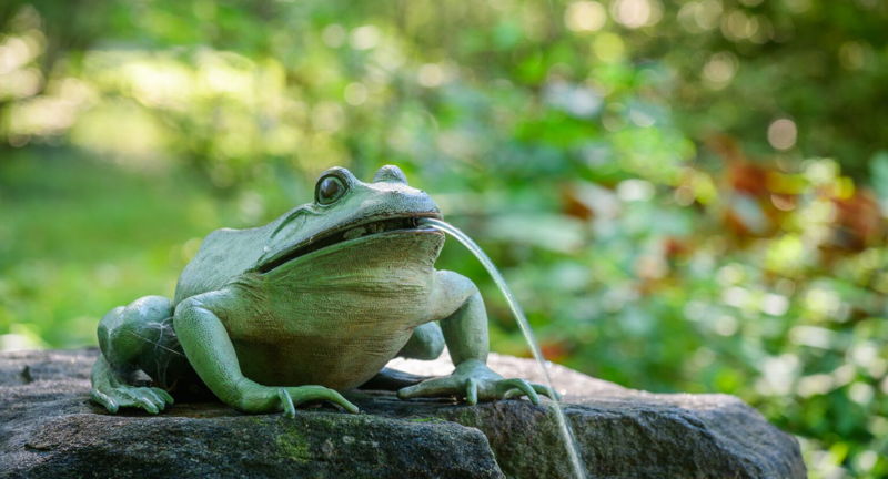 Story Time in Enchanted Woods